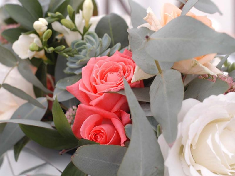 Eucalyptus and red and white roses